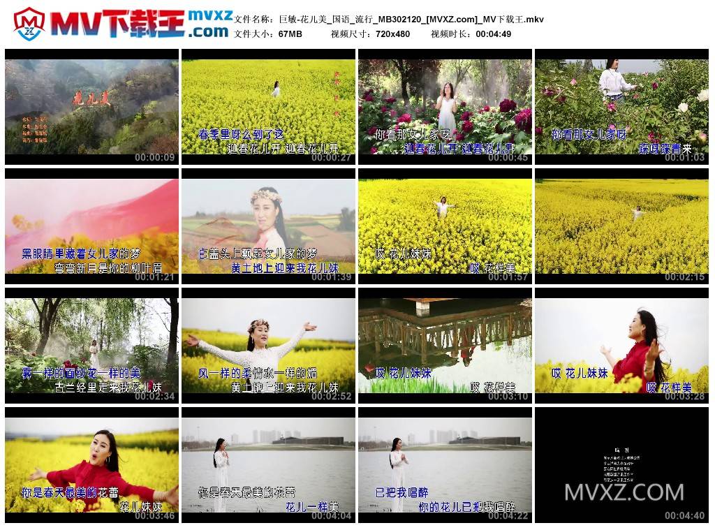巨敏-花儿美_国语_流行_MB302120